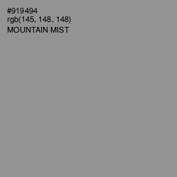 #919494 - Mountain Mist Color Image